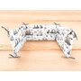 Aparatoare pentru patut, MimiNu, Din bumbac certificat Oeko Tex Standard 100, 180x30 cm, Cu panglici, Design, Cars Grey - 2