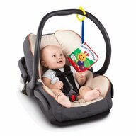 Baby Einstein - Jucarie multifunctionala Carticica Explore & Discover
