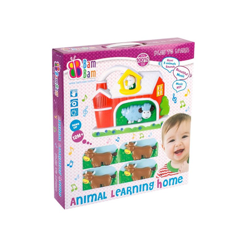 Bambam - casuta cu activitati