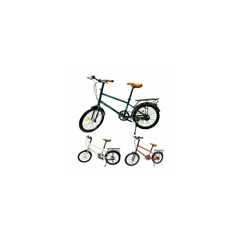 Roben toys - Bicicleta pentru copii, cu portbagaj, cadru metalic, 20