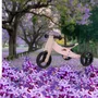 Bicicleta/tricicleta fara pedale, Free2Move, Din lemn, 2 in 1, Functie de bicicleta echilibru, Scaun reglabil, Roti ajustabile, Manere antiderapante, Varsta 1-3 ani, Conform cu standardele europene EN71-1;2018, EN71-2:2020, EN71-3:2021, Dusty Pink - 7