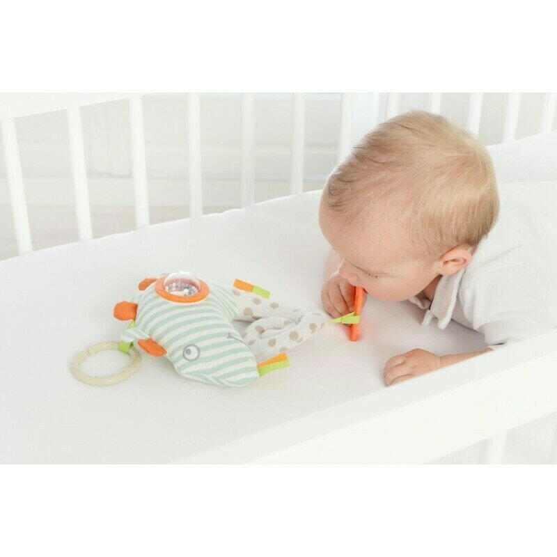 Dolce - jucarie carucior cameleon , cu activitati
