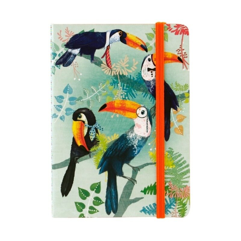 Carnetel a6 santoro - toucans