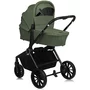 Carucior 2 in 1, Lionelo, Mika Plus, Cadru din aluminiu, Cu landou intarit si salteluta moale, Reversibil, Cu sistem de ventilatie 3D, Cu accesorii, Pana la 22 kg, Conform cu EN1888-1 EN1888-2, EN1466, Verde - 14
