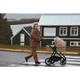 Carucior 3 in 1, Lionelo, Meril, Cu landou de dimensiune XL, Reversibil, Cu scoica auto testata ADAC, Cu accesorii, Pana la 22 kg, Conform cu EN1888-1 EN1888-2, EN1466, Negru - 39
