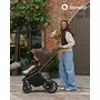 Carucior 3 in 1, Lionelo, Mika Plus, Cadru din aluminiu, Cu landou intarit si salteluta moale, Cu scoica auto testata ADAC, Reversibil, Cu sistem de ventilatie 3D, Cu accesorii, Pana la 22 kg, EN1888-1 EN1888-2 EN1466 ECE R129, Mocha Mousse - 54