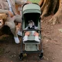 Carucior cu pliere automata Coccolle Sierra Sage green - 17