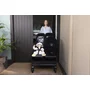 Carucior gemeni pliabil Twinside, Jane, Pliere rapida cu o mana, De la nastere pana la 22 Kg, Cu huse pentru ploaie, Spatare independente, Cu suspensii, Conform cu EN 1888-2:2018+A1:2023, Coal - 19