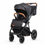Carucior modular 2in1 Coccolle Nessia Diamond black - 2