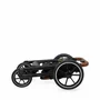Carucior modular 2in1 Coccolle Nessia Diamond black - 25