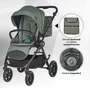 Carucior modular 4in1 Coccolle Serry Moss green cu Scoica auto iSize Coccolle Knox Black si Baza isofix iSize Coccolle Knox - 4
