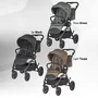 Carucior modular 4in1 Coccolle Serry Moss green cu Scoica auto iSize Coccolle Knox Black si Baza isofix iSize Coccolle Knox - 22