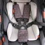 Carucior Quantum 2 Premium Auburn - 1