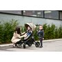 Lorelli - Carucior 3 in 1 Ramona , Luxe, Negru - 19