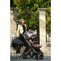Lorelli - Carucior 2 in 1 Storm , Steel,  Cadru din aluminiu, 0-22 kg, Cu cos auto inclus, Gri - 7