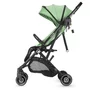 Carucior sport Coccolle Alla Mistletoe green - 2