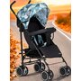 Carucior sport, FreeOn, Simple, Cu copertina, Cu cos pentru cumparaturi, Pana la 15 kg, 6 luni+, Conform cu standardul european EN 1888-1:2018, Negru/Verde - 2