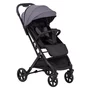 Carucior sport, FreeON, Tao, Pana la 22 Kg, 6.9 Kg, Cu maner pentru transport,  Conform cu standardul european EN, Grey