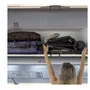 Carucior sport, Jane, Clap, Sistem compact de pliere care permite transportul caruciorului la bordul aeronavei, Cadru din aluminium, De la nastere pana la 26Kg, Conform cu standardul european EN 1888-2:2018+A1:2023, Botanic - 23