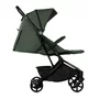 Carucior sport, Jane, Wing, Sistem compact de pliere, Cadru din aluminium, Usor, 6 Kg, De la nastere pana la 22 Kg, Cu geanta transport si husa de ploaie, Conform cu standardul european EN 1888-1:2018+A1:2022, Botanic - 5