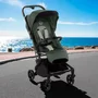 Carucior sport, Jane, Wing, Sistem compact de pliere, Cadru din aluminium, Usor, 6 Kg, De la nastere pana la 22 Kg, Cu geanta transport si husa de ploaie, Conform cu standardul european EN 1888-1:2018+A1:2022, Botanic - 25