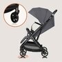 Carucior sport, Lionelo, Bess, Greutate 7.5 kg, Sustine 22 kg, 6 luni+, Capotina impermeabila si protectie SPF 50+, Include suport sticla, Pliere cu o singura mana, Maner pentru transport, Gri - 27