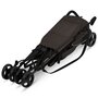 Carucior sport, Lionelo, Elia, Cu plasa de tantari, Suport de picioare reglabil, Spatar ajustabil in 4 pozitii, Capotina XXL, Pliere tip umbrela, Capacitate 15 kg, 6 luni+, EN 1888, Maro - 12