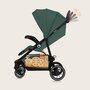 Carucior sport, Lionelo, Emma One, Cu tavita, Suport pahar, Plasa de tantari, Roti EVA, Maner reglabil, Pana la 22 kg, 6 luni+, Conform cu EN1888-1, Verde - 30