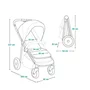 Carucior sport, Lionelo, Emma One, Cu tavita, Suport pahar, Plasa de tantari, Roti EVA, Maner reglabil, Pana la 22 kg, 6 luni+, Conform cu EN1888-1, Verde - 37