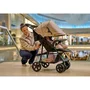 Carucior sport, Lionelo, Emma Plus, Cu tavita, 2 Suporturi pentru pahar, Geanta accesorii, Conform cu standardul european de securitate EN1888-1, Bej - 8