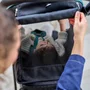 Carucior sport, Lionelo, Mira, Maner reglabil in 5 pozitii, Spatar si suport de picioare reglabile, Plasa de tantari si suport biberon incluse, Pana la 22 kg, 6 luni+, Conform cu EN1888-1, EN1888-2, Testare SGS, Gri - 23