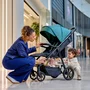 Carucior sport, Lionelo, Mira, Maner reglabil in 5 pozitii, Spatar si suport de picioare reglabile, Plasa de tantari si suport biberon incluse, Pana la 22 kg, 6 luni+, Conform cu EN1888-1, EN1888-2, Testare SGS, Gri - 25