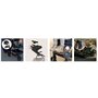 Carucior sport, Lionelo, Mira, Maner reglabil in 5 pozitii, Spatar si suport de picioare reglabile, Plasa de tantari si suport biberon incluse, Pana la 22 kg, 6 luni+, Conform cu EN1888-1, EN1888-2, Testare SGS, Gri - 30