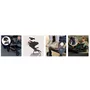 Carucior sport, Lionelo, Mira, Maner reglabil in 5 pozitii, Spatar si suport de picioare reglabile, Plasa de tantari si suport biberon incluse, Pana la 22 kg, 6 luni+, Conform cu EN1888-1, EN1888-2, Testare SGS, Negru - 30