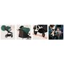 Carucior sport, Lionelo, Mira, Maner reglabil in 5 pozitii, Spatar si suport de picioare reglabile, Plasa de tantari si suport biberon incluse, Pana la 22 kg, 6 luni+, Conform cu EN1888-1, EN1888-2, Testare SGS, Verde - 31