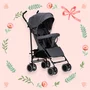 Carucior sport, FreeON, Simple, Spatar si suport picioare reglabile, Capotina cu fereastra, Conform cu standardele de siguranta EN 1888-1:2018 si A1:2022, Grey - 4