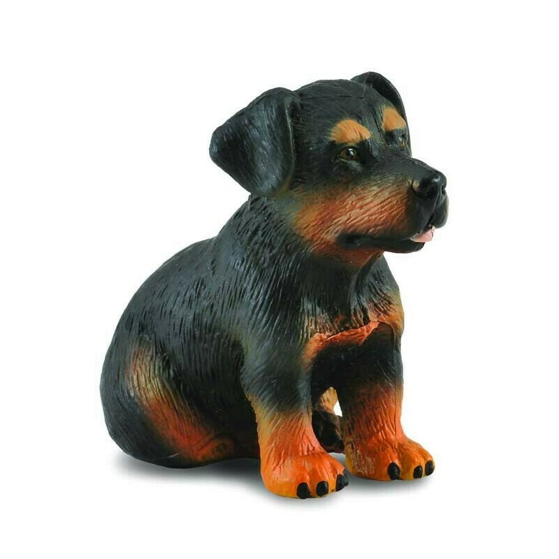 Collecta - figurina catel rottweiler pui