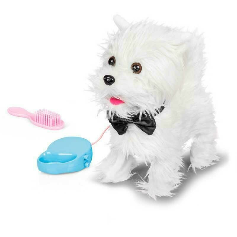 Tobar - catelusul plimbaret - westie