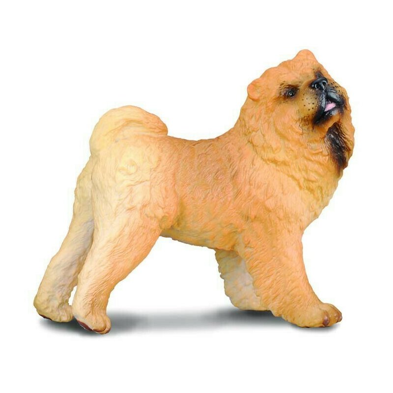 Collecta - figurina catel chow chow