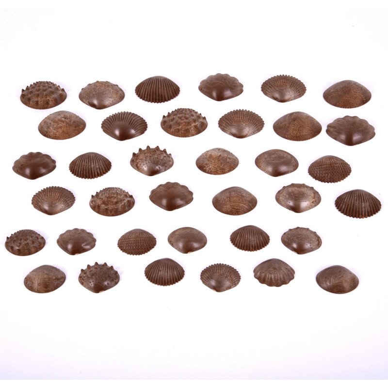 Commotion - jucarie pentru sortat si stivuit cochilii tactile ecologice