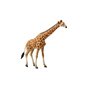 Collecta - Figurina Girafa XL - 1