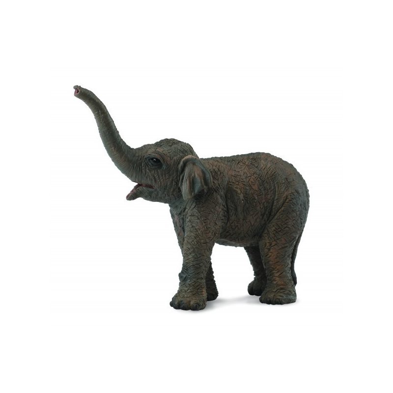Collecta - Figurina Pui De Elefant Asiatic S