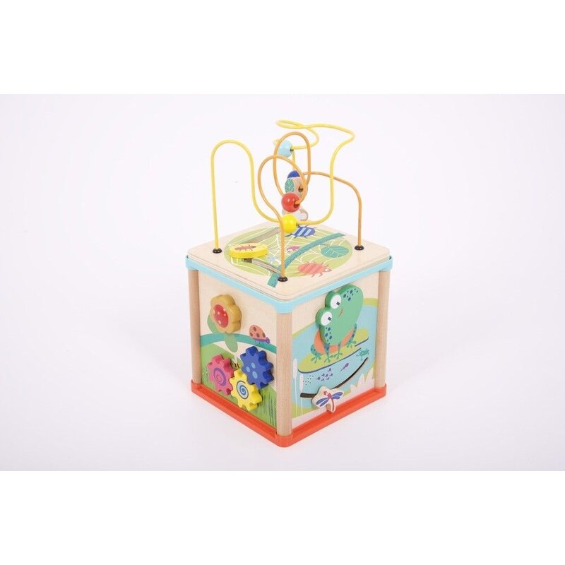 Commotion - jucarie cu activitati cub 5 in 1