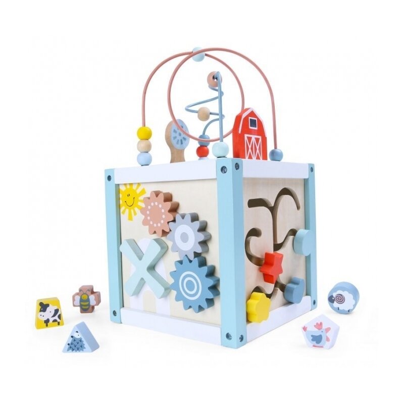Ecotoys - cub educational din lemn 1020