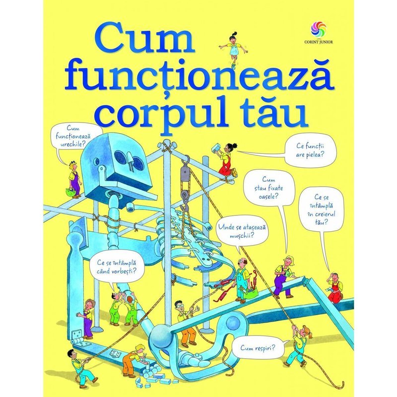 Corint - cum functioneaza corpul tau