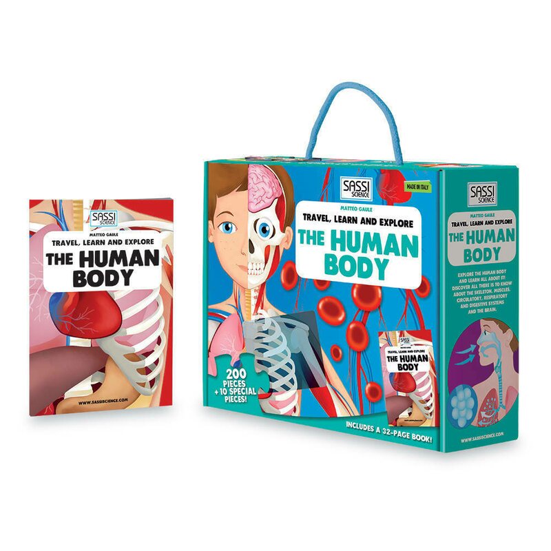 Sassi - set pentru explorat corpul uman