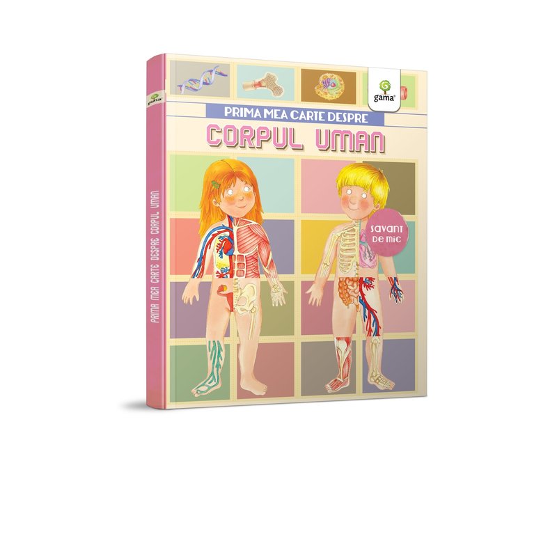 Editura gama prima mea carte despre corpul uman