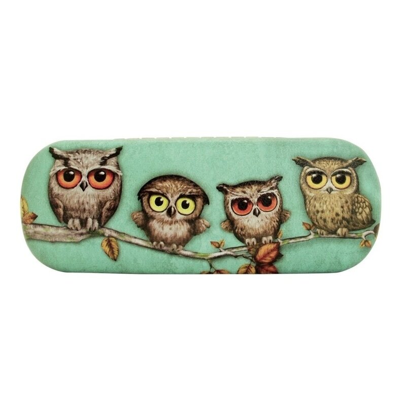 Etui ochelari Book Owls