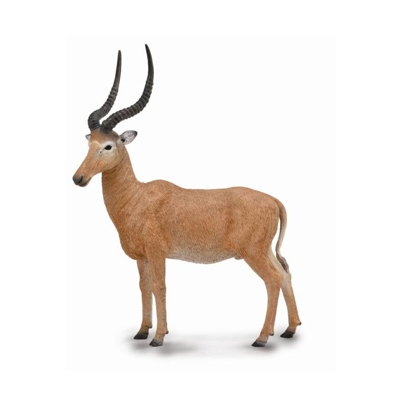 Collecta - figurina antilopa hirola l