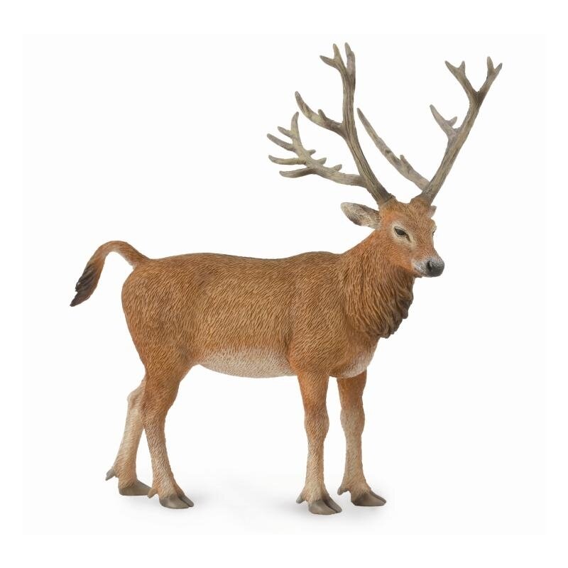 Collecta - figurina cerb pere david l